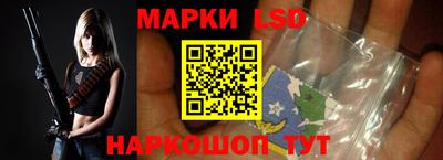 тгк Шебекино